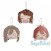 BanG Dream! Toyama Kasumi, Hanazone Tae, Yamabuki Saaya 16cm Plush (set/3) (1)