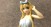 Sword Art Online: Code Register EXQ 23cm Premium Figure - Alice Yukemuri (9)