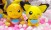 Pokemon Sun and Moon - MOGUMOGU time Stuffed Plush 23cm - Raichu and Pichu  (set/2) (5)
