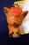 Pokemon Sun & Moon Pikachu, Vulpix 5cm Key Chain (set/2) (4)