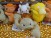 Pokemon Guraburarin 11cm Stuffed Mascot Plush - Vulpix, Psyduck, Geodude and Cubone (set/4) (4)