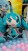 Hatsune Miku Series Mikudayo Mega Jumbo Mej 30cm Plush Doll (3)