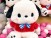 Sanrio Characters Pochacco Preciality Special Large 30cm Stuffed Plush - Yurukawa Design (7)