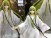 Fate/Grand Order Babylonia SSS 21cm Premium Figure - Lancer (Kingu) (6)