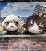 Girls and Panzer The Movie Captain's Large Plush Volume 2 16cm (Set of 2) (2)