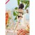 Pop Up Parade Megumin: Swimsuit Ver. (KonoSuba: Kono Subarashii Sekai NI Syukufuku Wo!) Premium Figure 17cm (3)