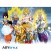 Dragon Ball Z - Fight for Survival Boxed Poster Set (2 pcs) (3)