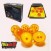 Dragon Ball Z Dragon Balls Collector Box (4)