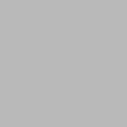 DELETER Neopiko-2 Dual-tipped Alcohol-based Marker - Cool Grey 4 (574)