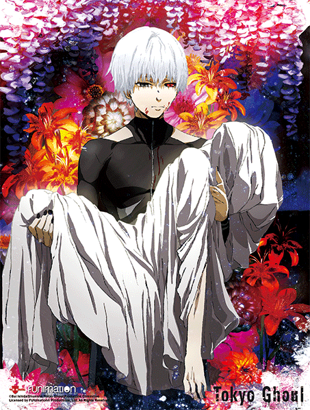 Tokyo Ghoul 3D Lenticular Wall Art Poster 18x24